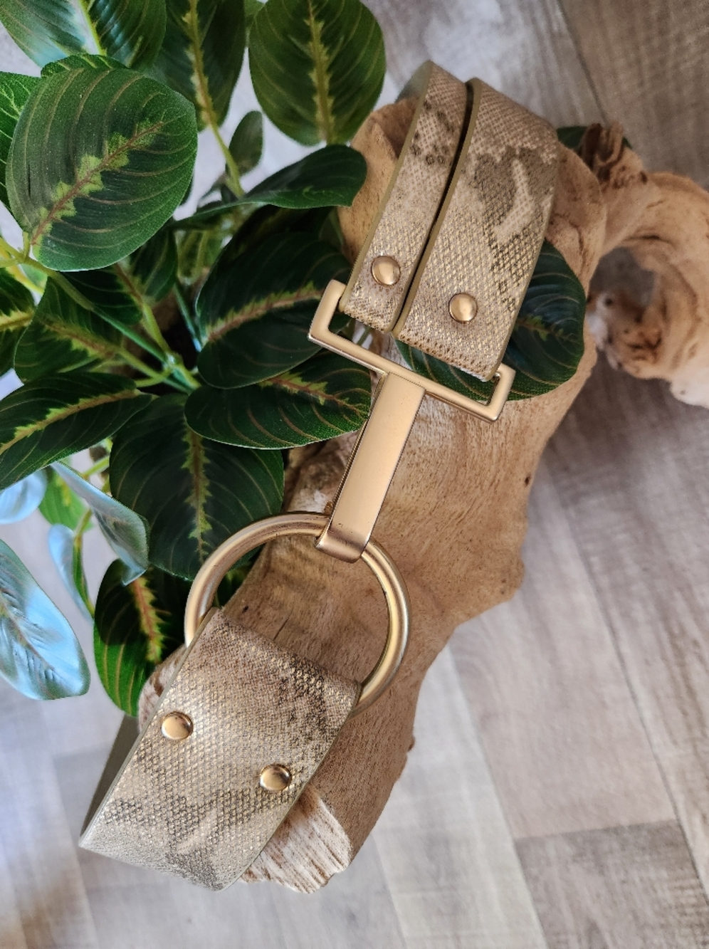 Chico's Faux Gold Snakeskin Embossed Belt w/Leather Lining & Goldtone Buckle S/M
